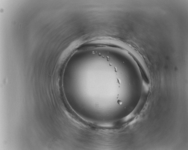 X0000073760197200608102054