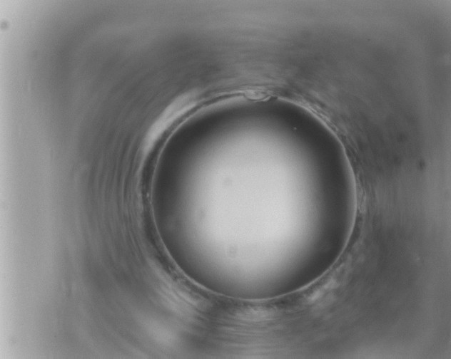 X0000073760198200608102054