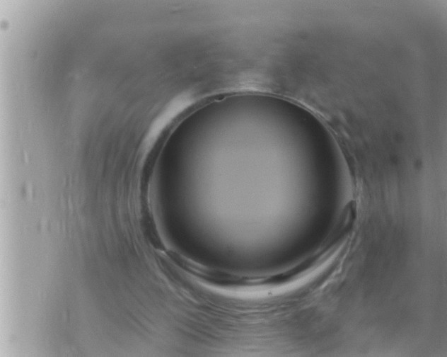 X0000073760200200608102054