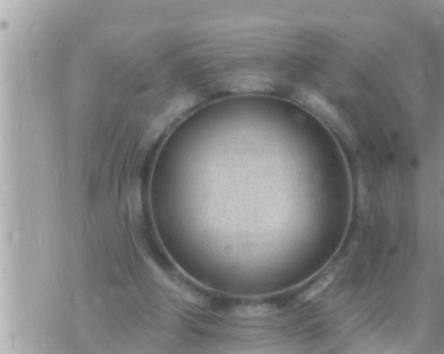 X0000073760202200608102054