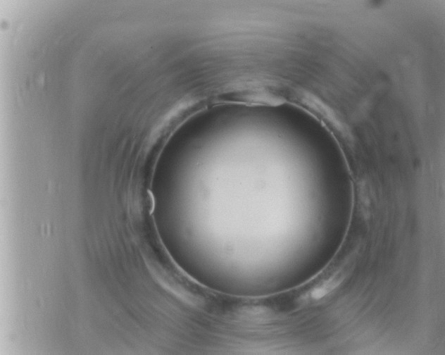 X0000073760203200608102054