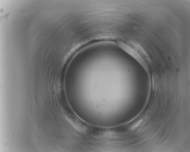 X0000073760204200608102054