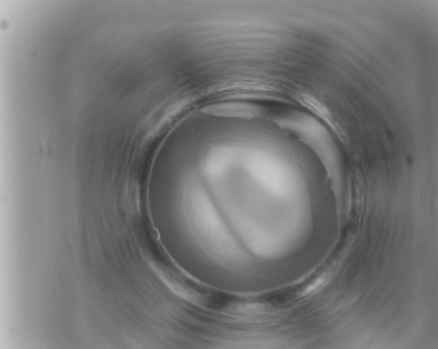 X0000073760205200608102054