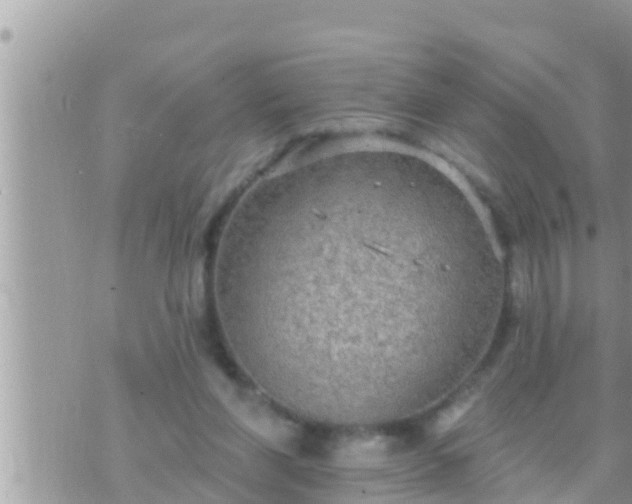 X0000073760206200608102054