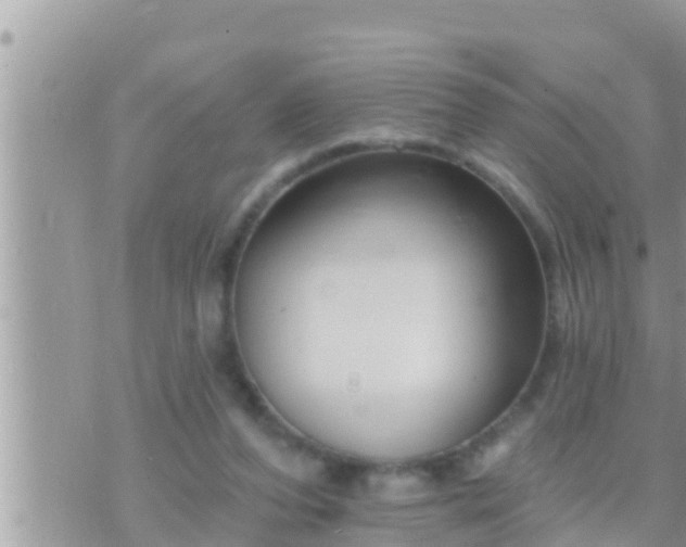 X0000073760208200608102054