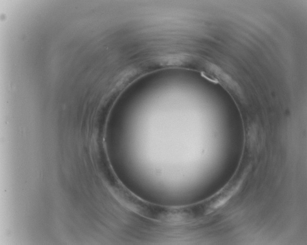 X0000073760209200608102054