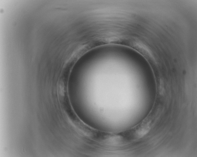 X0000073760210200608102054