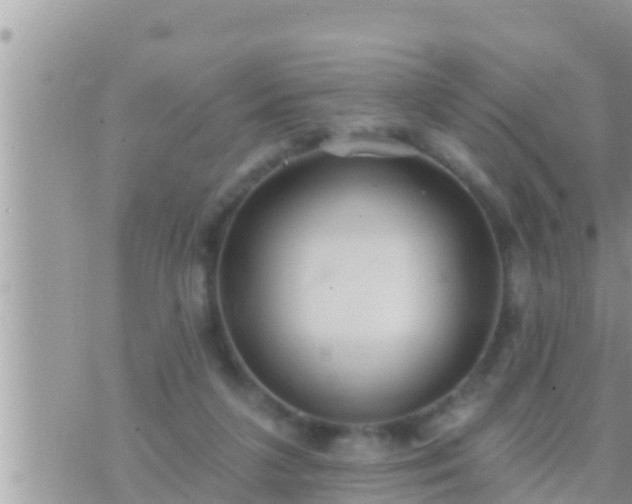 X0000073760211200608102054