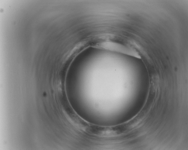 X0000073760212200608102054