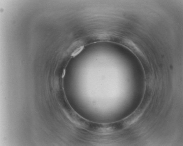 X0000073760213200608102054