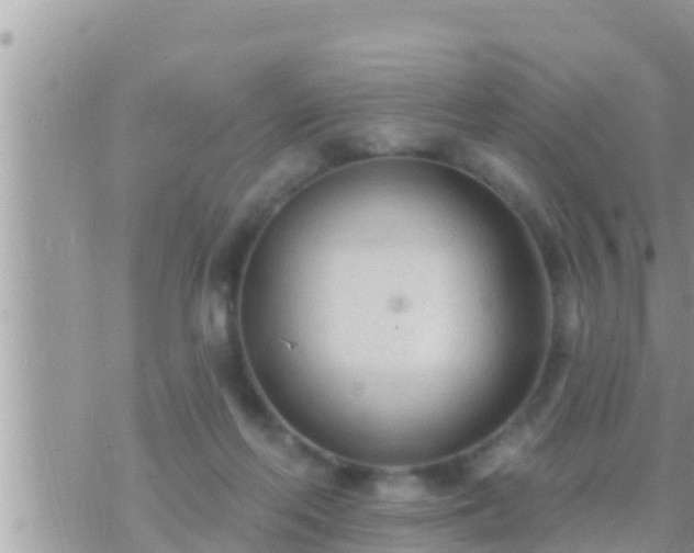 X0000073760214200608102054