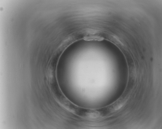 X0000073760215200608102054