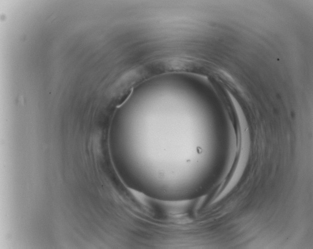 X0000073760217200608102054