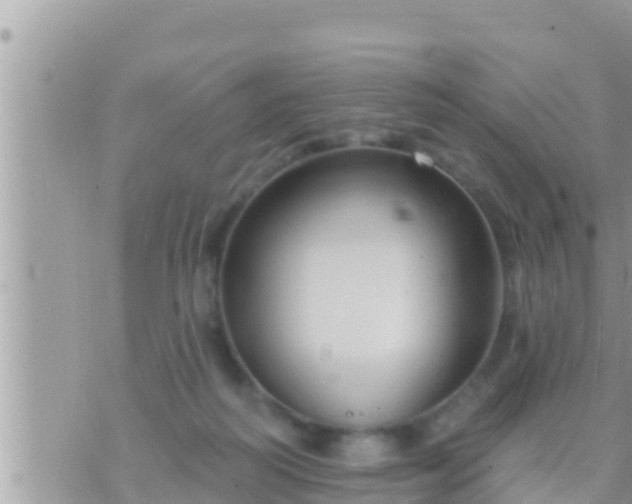 X0000073760218200608102054