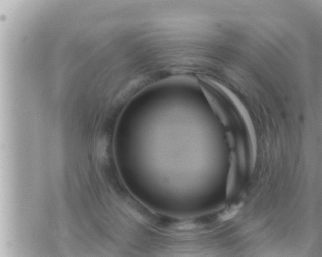 X0000073760219200608102054