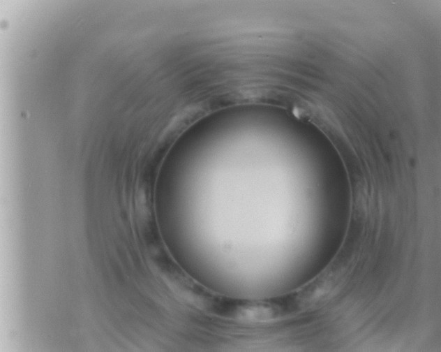 X0000073760220200608102054