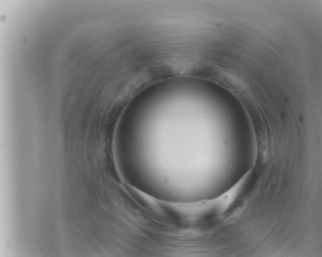 X0000073760221200608102054