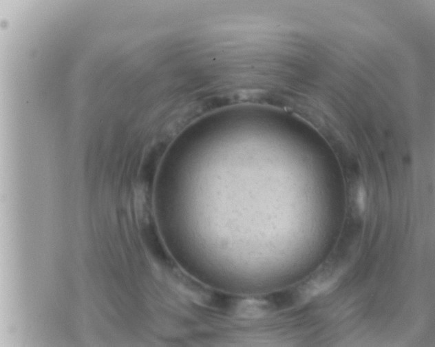 X0000073760222200608102054