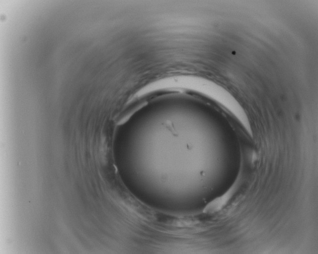 X0000073760223200608102053