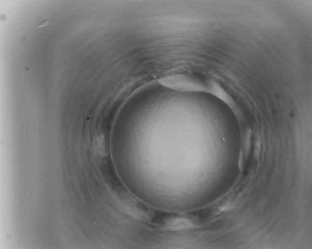 X0000073760224200608102053