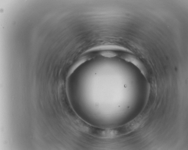 X0000073760225200608102053