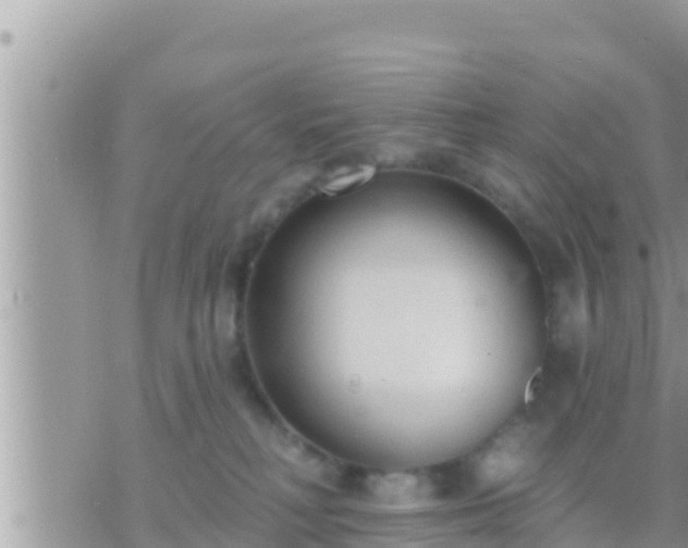 X0000073760230200608102053