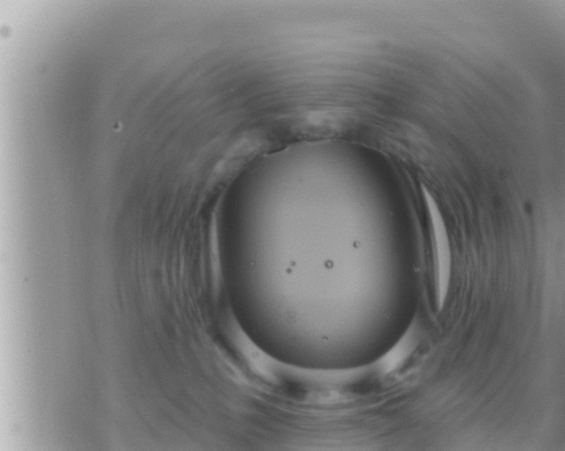 X0000073760231200608102053