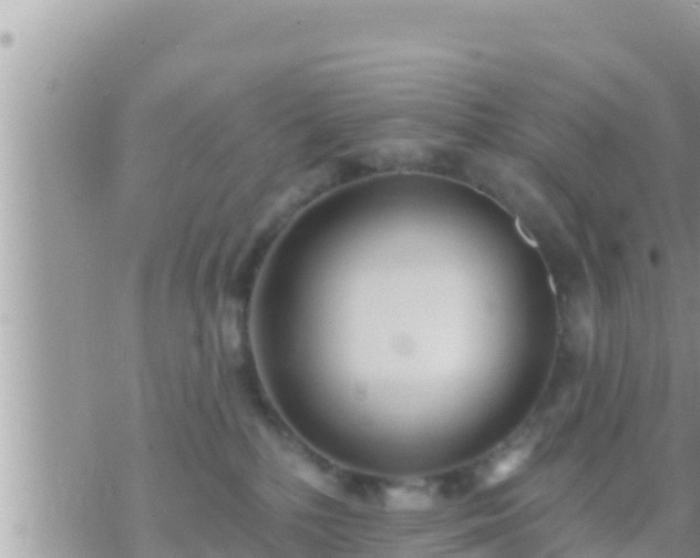 X0000073760232200608102053