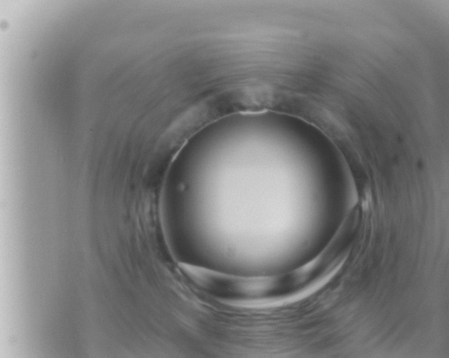 X0000073760233200608102053