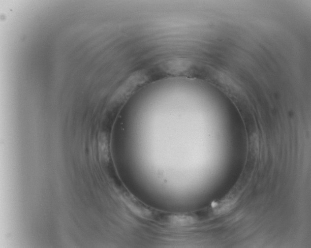 X0000073760234200608102053