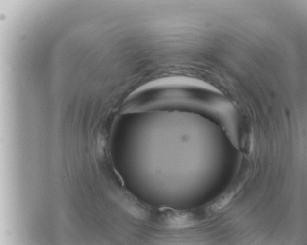 X0000073760235200608102053