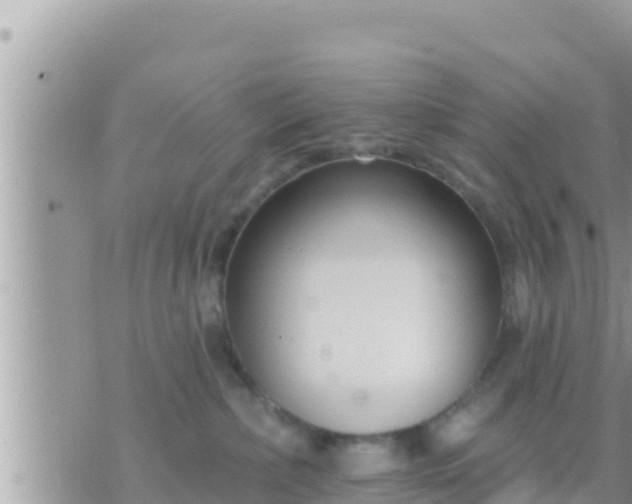 X0000073760236200608102053