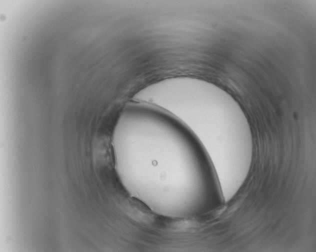 X0000073760237200608102053