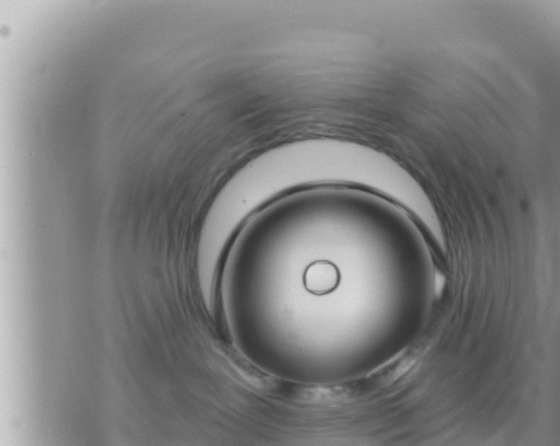 X0000073760239200608102053