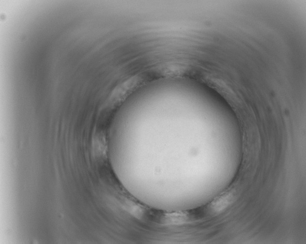 X0000073760240200608102053