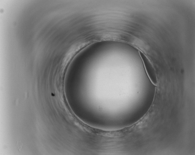 X0000073760241200608102052