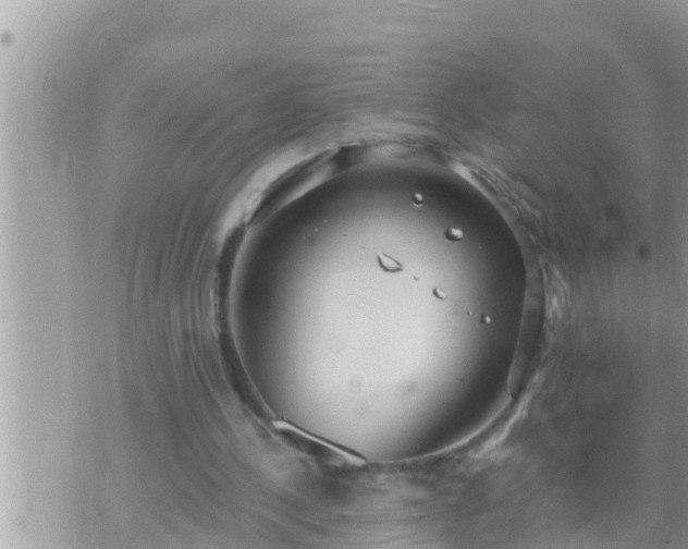 X0000073760244200608102052