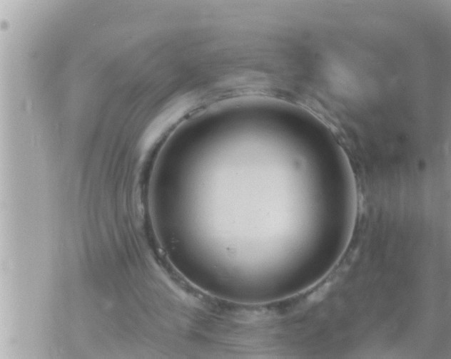 X0000073760245200608102053