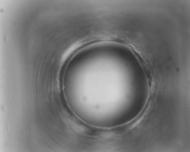 X0000073760246200608102053