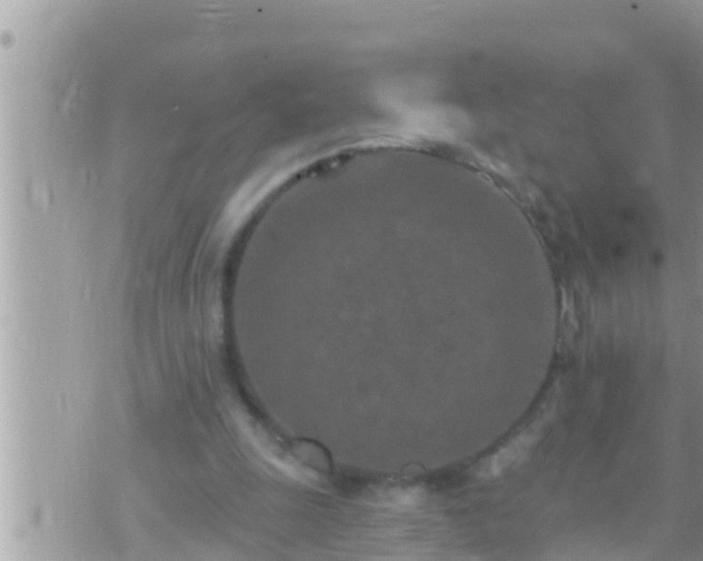 X0000073760247200608102053