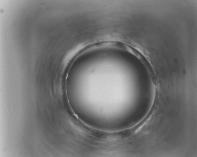 X0000073760248200608102053