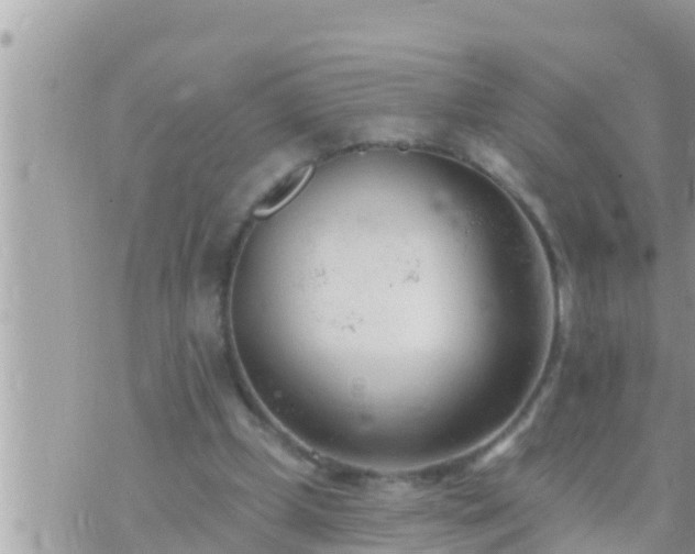 X0000073760249200608102053