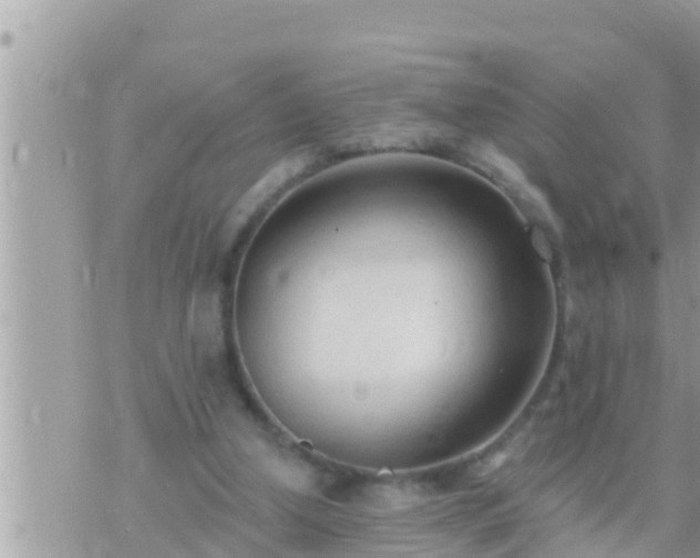 X0000073760250200608102053