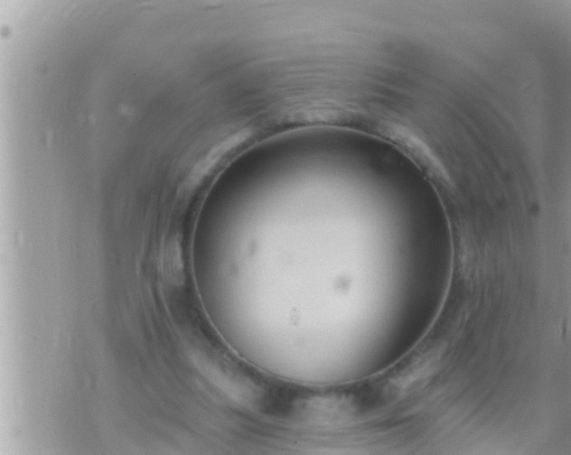 X0000073760251200608102053