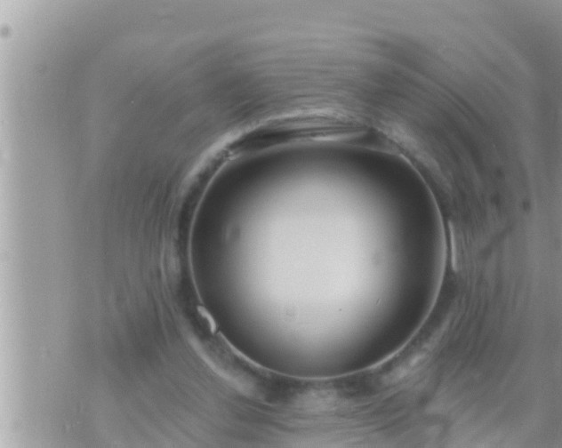 X0000073760252200608102053