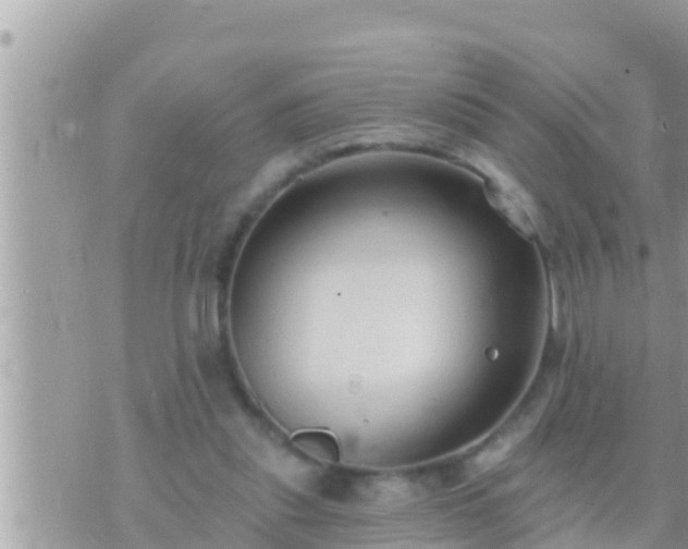 X0000073760253200608102053