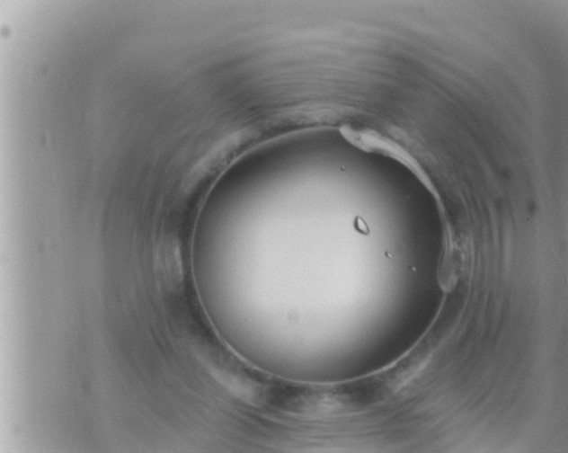 X0000073760254200608102053