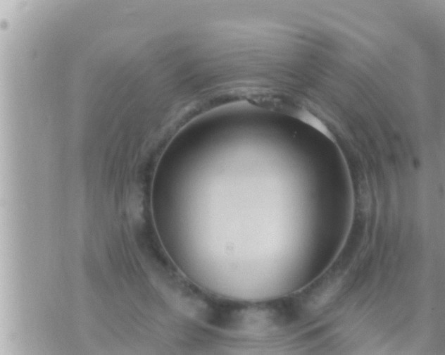 X0000073760255200608102053