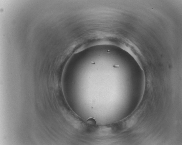 X0000073760257200608102053