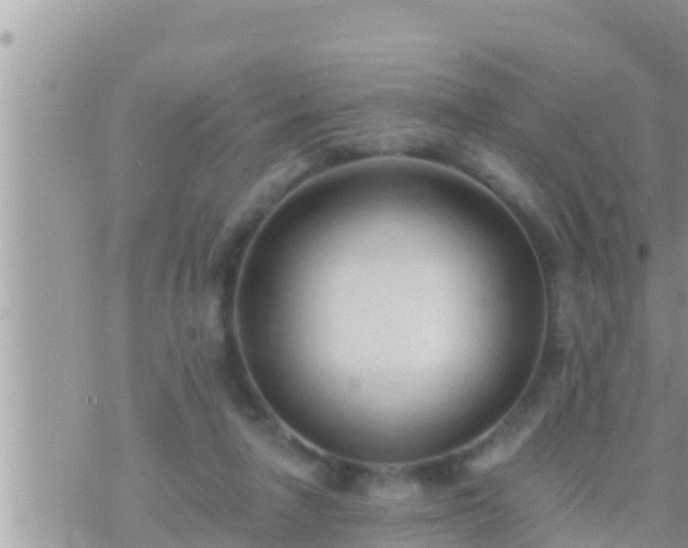 X0000073760258200608102053